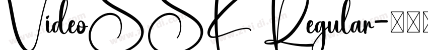 VideoSSK Regular字体转换